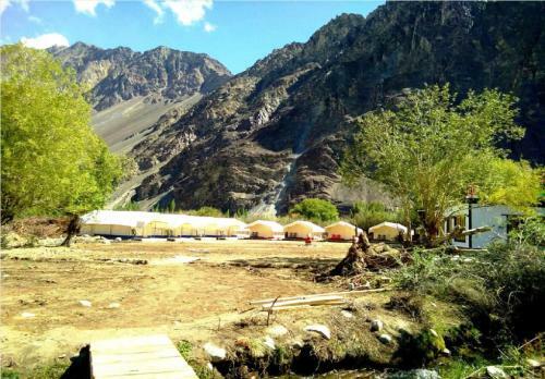 Tih Shyok Camp - Nubra