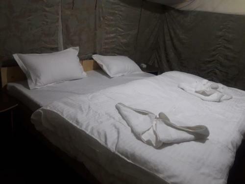 Nubra Pika Camp