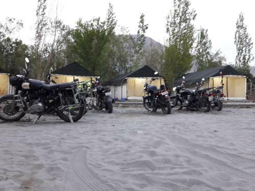 Nubra Pika Camp