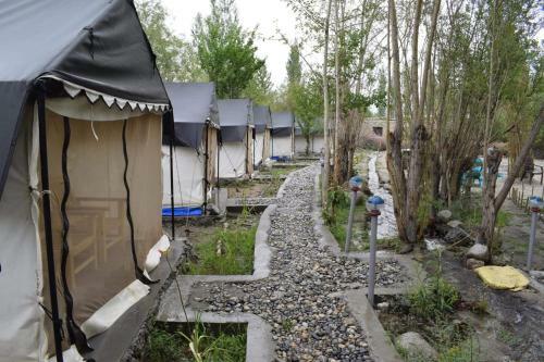 Nubra Pika Camp