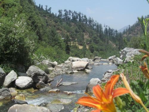 Posada Rock Top Inn Jibhi
