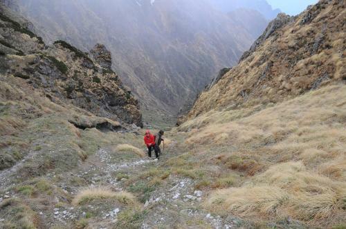 Tirthan Hilltop-great Himalayan National Park