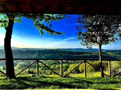 Bed & Breakfast Relais Tenuta Gentili