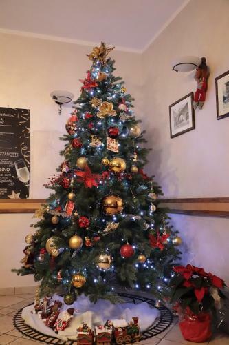 Hotel Ristorante Ch�teau
