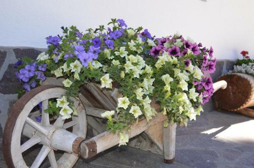 Agroturismo Agriturismo Anv�