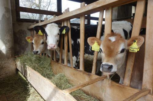 Agroturismo Agriturismo Anv�