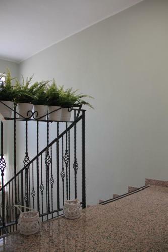Hostal Vignola Rooms Avio