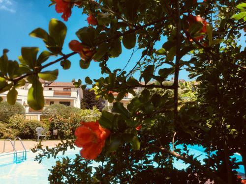 Apartamento Kibil� - Residenza Del Parco