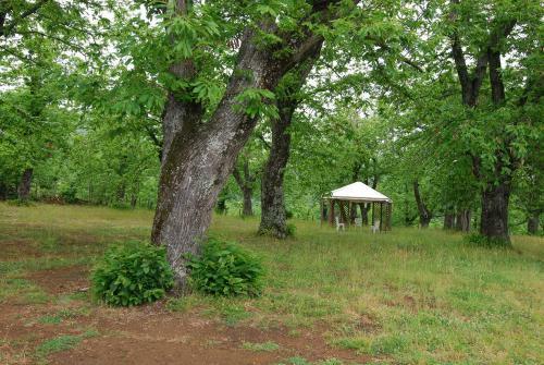 B&B Country House Il Castagneto