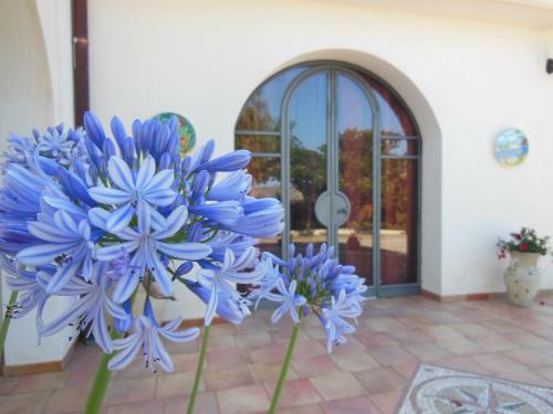 La Villa In Collina