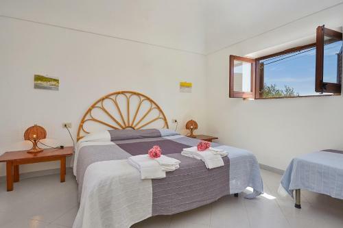 Apartamento Case Canino