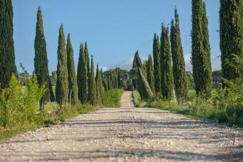 Casa Di Pietra Villa Sleeps 14 Pool Air Con Wifi
