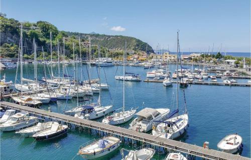 Three-bedroom Apartment In Procida -na-
