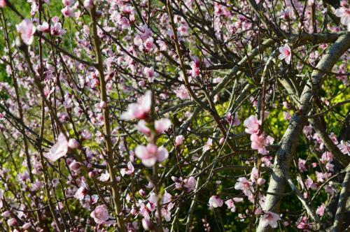 Bed & Breakfast Relais Santa Croce All'eremo