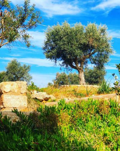 Hostal Masseria Casina Bellanova
