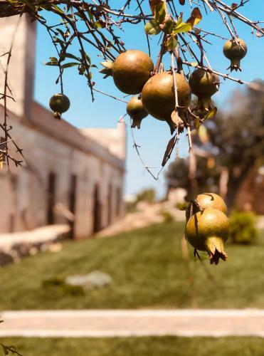 Hostal Masseria Casina Bellanova