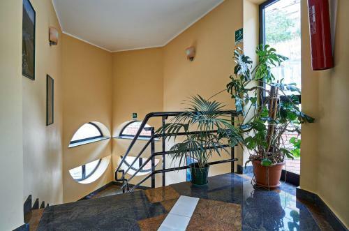 Hotel Mazzurco