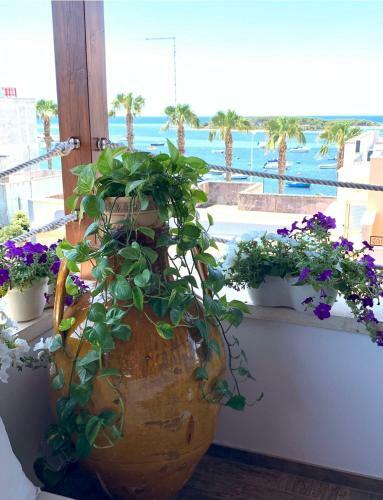 Bed & Breakfast A Casa Del Panfilo