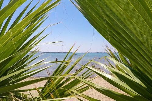 Porto Cesareo Apartment M514