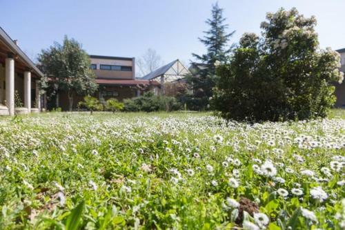 Apartamento La Cordata Accommodation - Brodolini 24