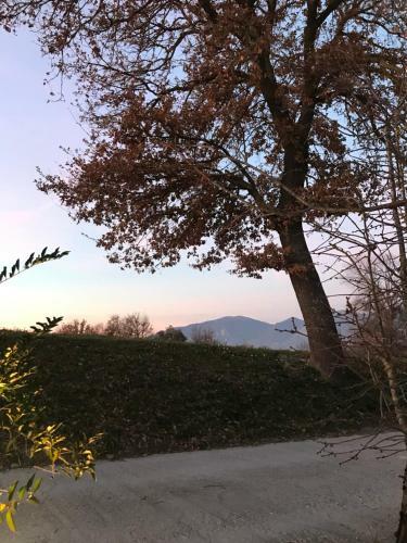 Agroturismo Il Pozzo Country House