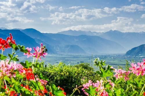 Hostal Pension Etschblick