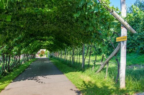 Hostal Pension Etschblick