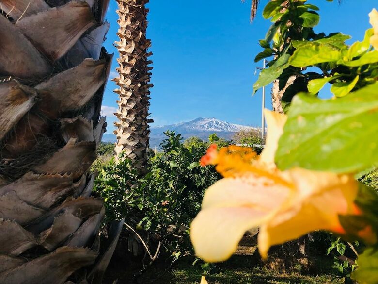 Bed & Breakfast Villa Valentino