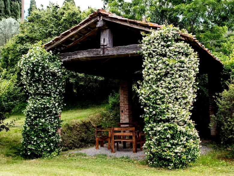 Cozy Farmhouse In Ghizzano Italy With Private Pool