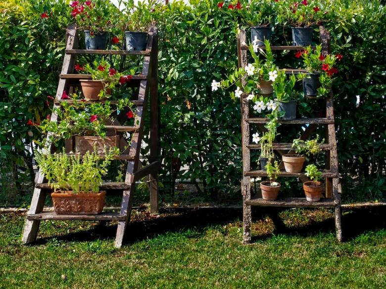 Cozy Farmhouse In Ghizzano Italy With Private Pool
