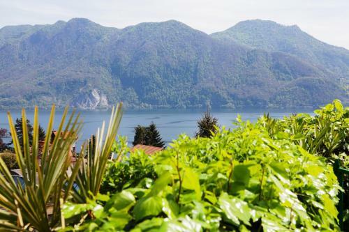 Apartamento Studio-apartments La Selva