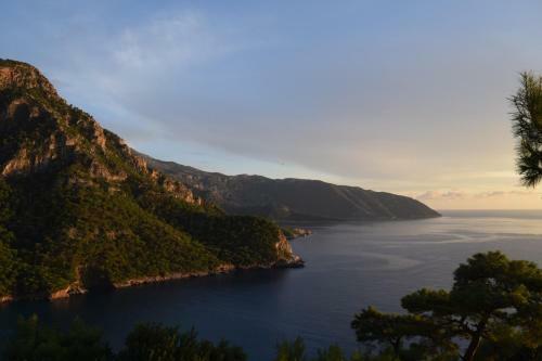 Lodge Kabak Avalon Bungalows