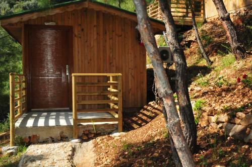 Tree Houses