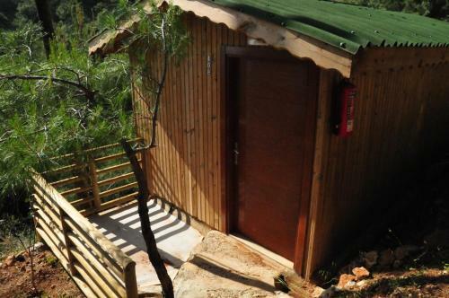 Tree Houses