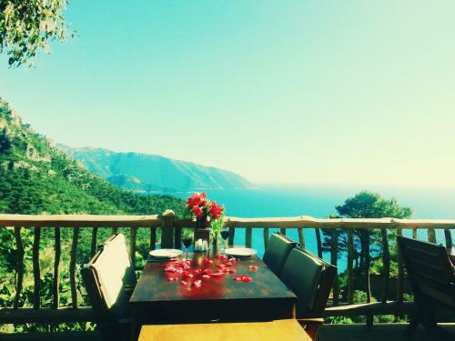 Olive Garden Kabak