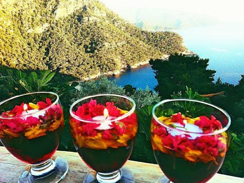 Olive Garden Kabak