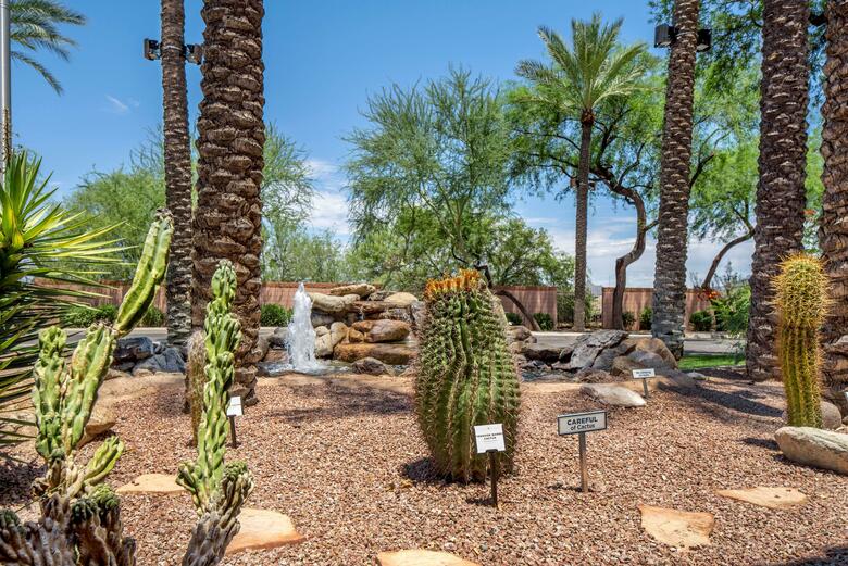 Hotel Scottsdale Villa Mirage
