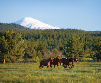 Hotel Sunriver Resort