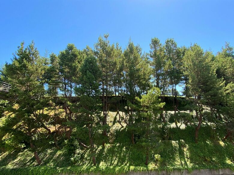 Hotel Best Western Plus Agate Beach Inn
