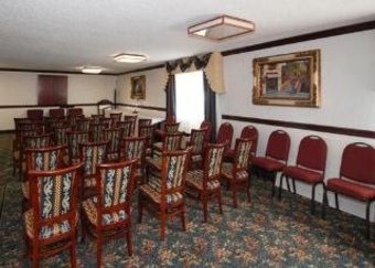 Hotel Quality Inn & Suites (romulus)