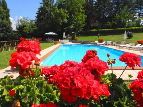 Agroturismo Aurora