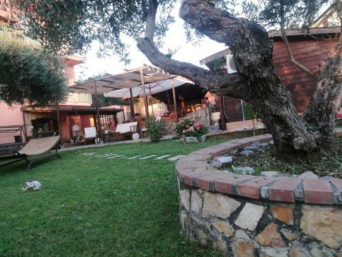 B&B Marino