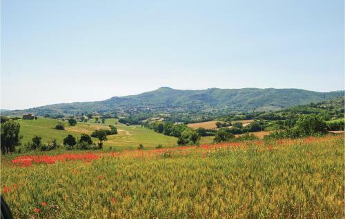 Apartamentos Greppo A