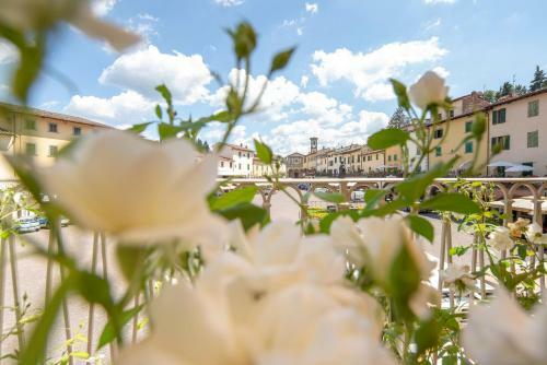 Hostal Suite Greve In Chianti