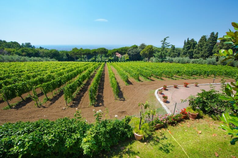 Apartamento Frascati Country House