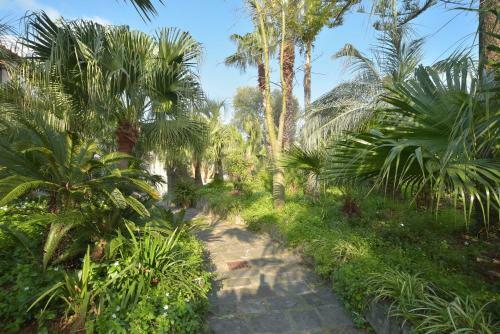 Villa Regine Apartments
