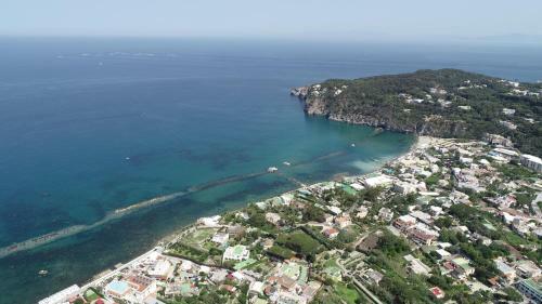 Villa Regine Apartments