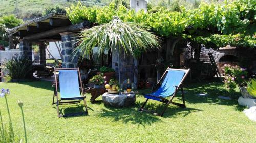 Apartamento Il Vigneto