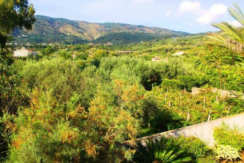 Villa Torre