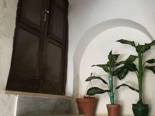 Cozy Apartment In Irsina With Terrace